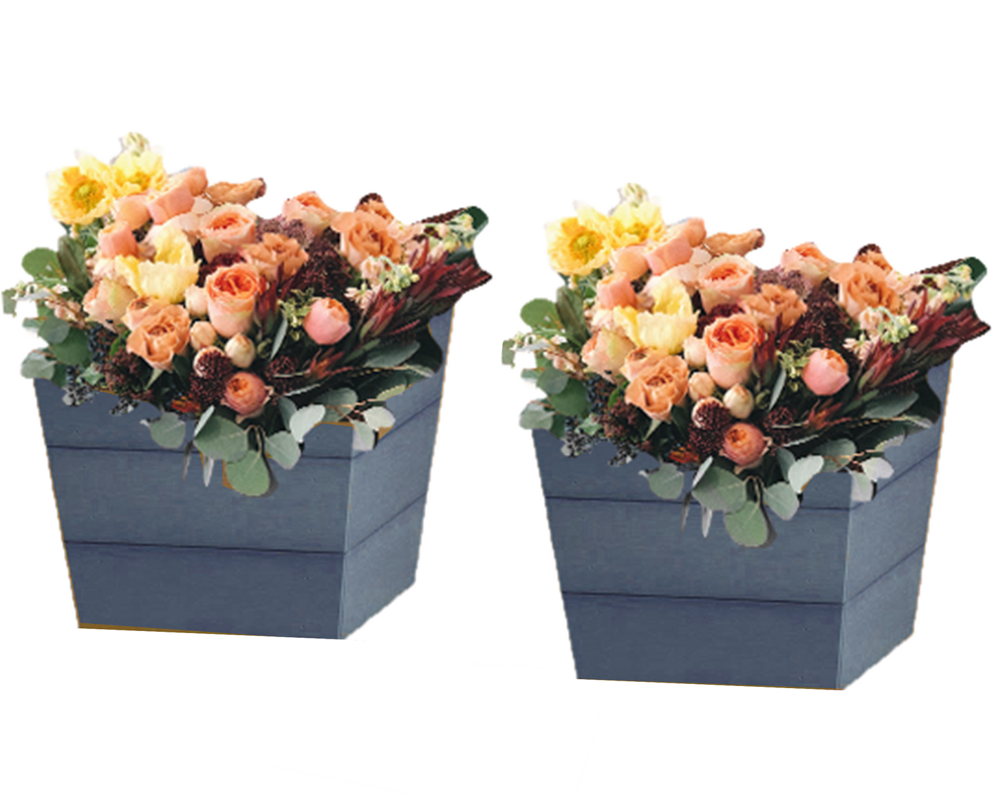 Set of 2 Small Winawood Planters