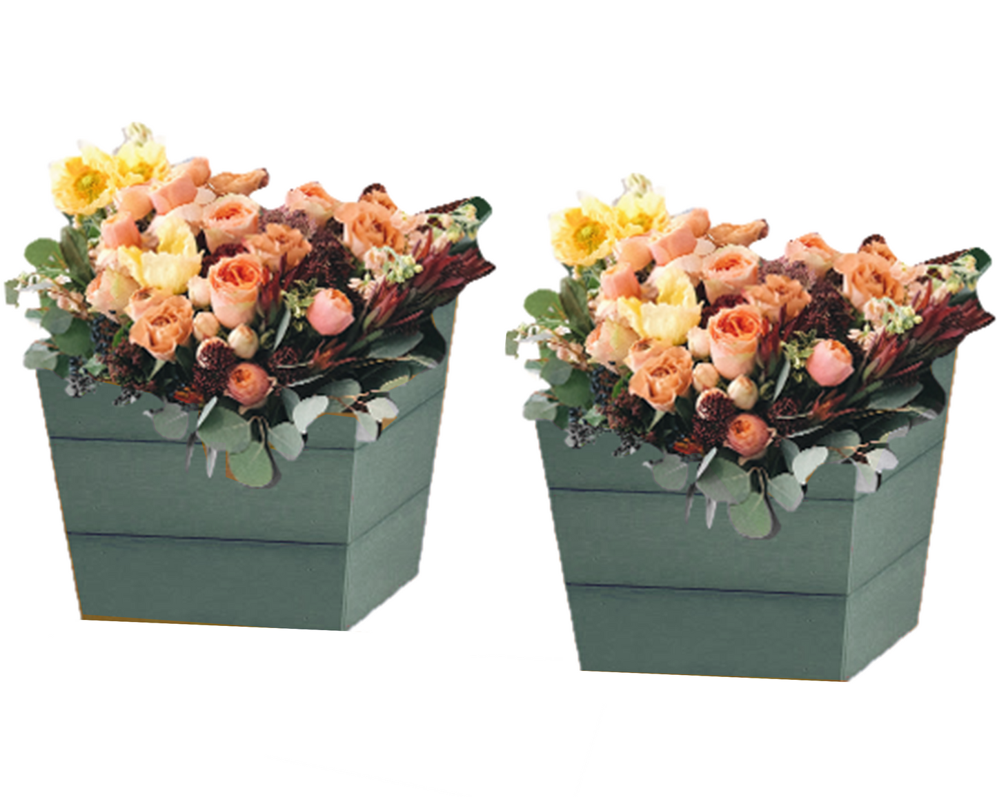 Set of 2 Small Winawood Planters