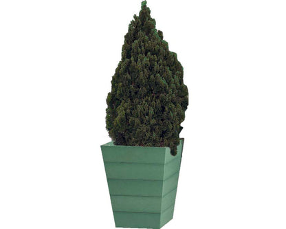 Large Winawood Planter