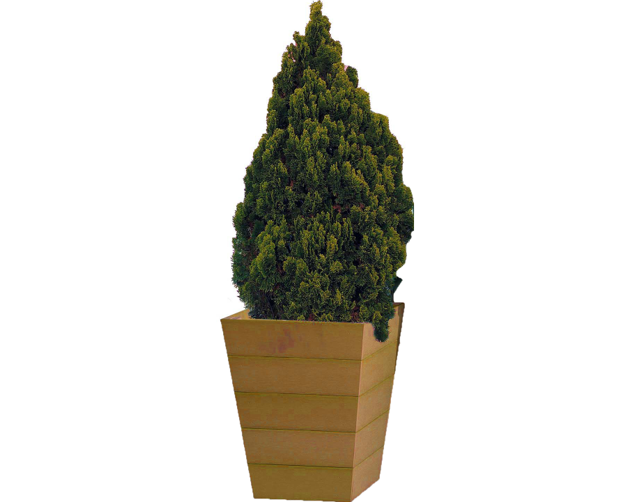 Large Winawood Planter