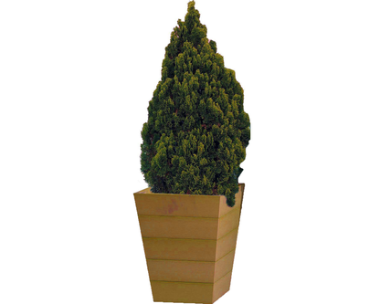 Large Winawood Planter