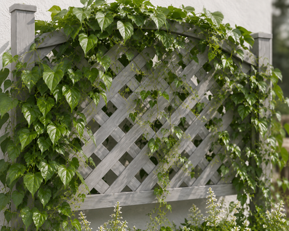 Winawood Blenheim Large Rectangular Planter with Trellis