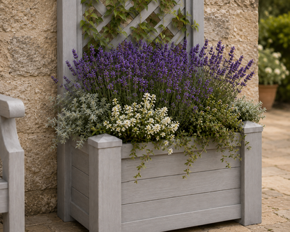 Winawood Blenheim Rectangular Planter with Trellis