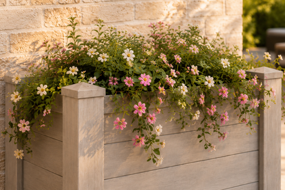 Winawood Blenheim Raised Rectangular Planter