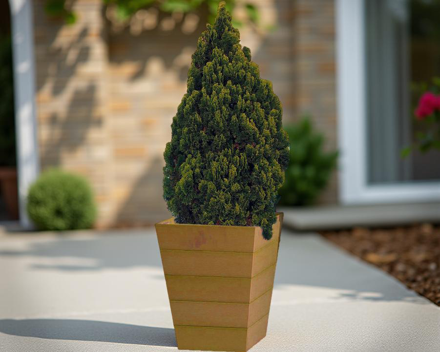 Large Winawood Planter