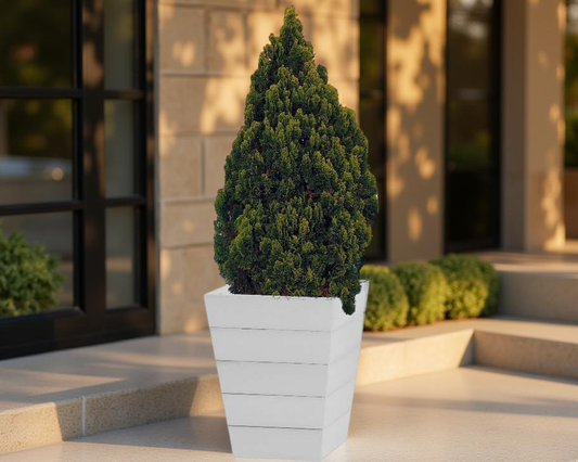 Large Winawood Planter