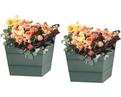 Set of 2 Small  Winawood Planters - Duck Egg Green